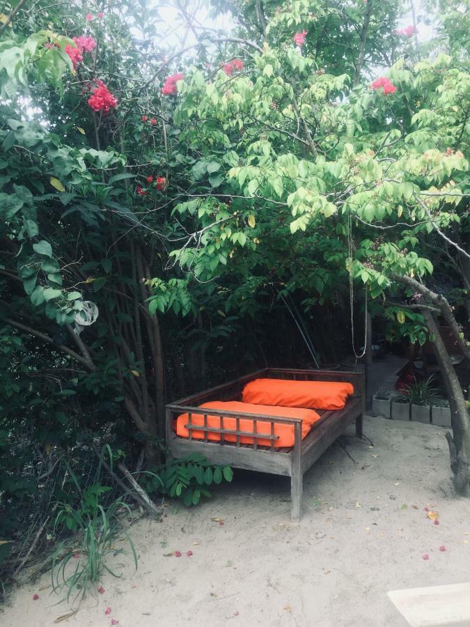 Le Jardin D'Alice 호텔 판티엣 외부 사진